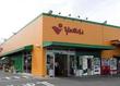 ヤオマサ大磯店 ヤオマサ大磯店